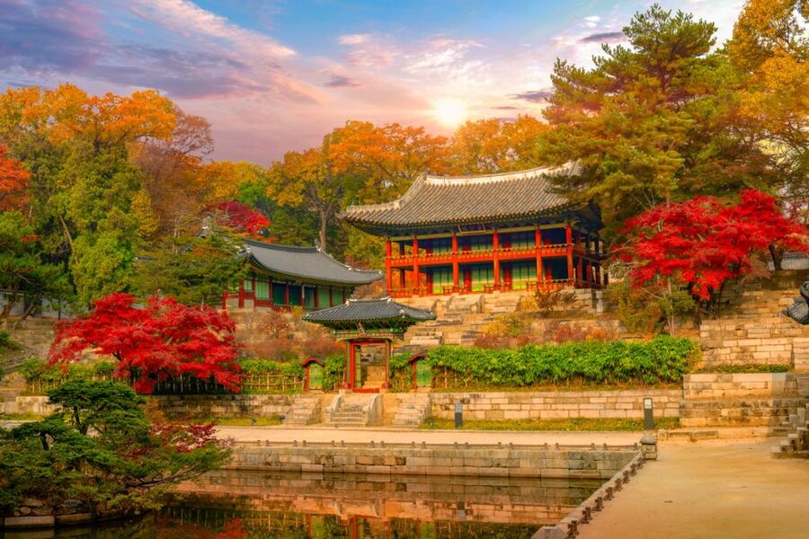 Seoul: Gyeongbok Palace and Bukchon Hanok Walking Tour - Finishing near Insadong