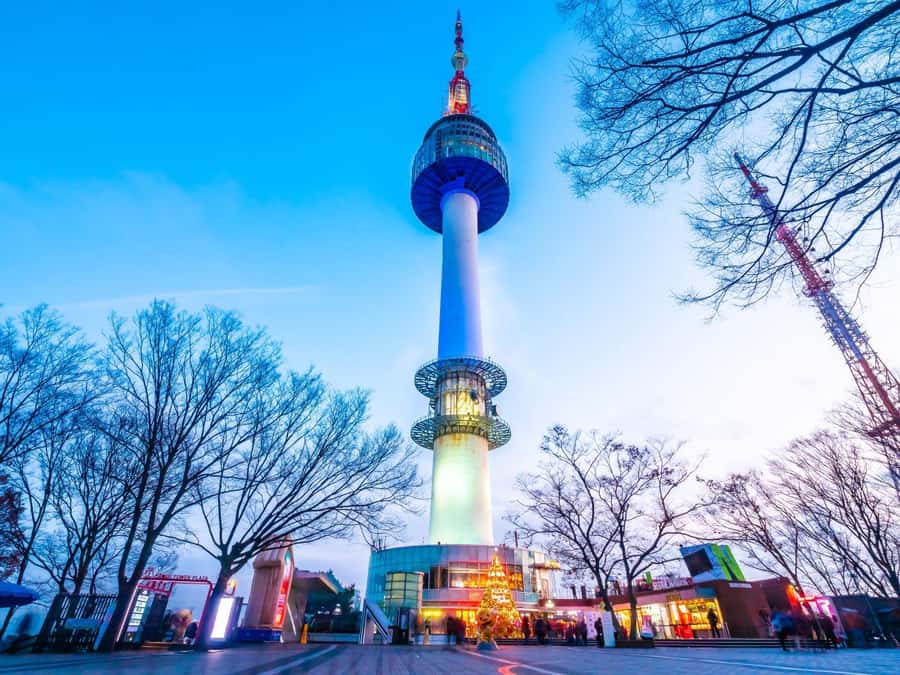 Seoul: Gyeongbokgung / Hanok Village / N Seoul Tower - Samgyetang lunch and dietary requests