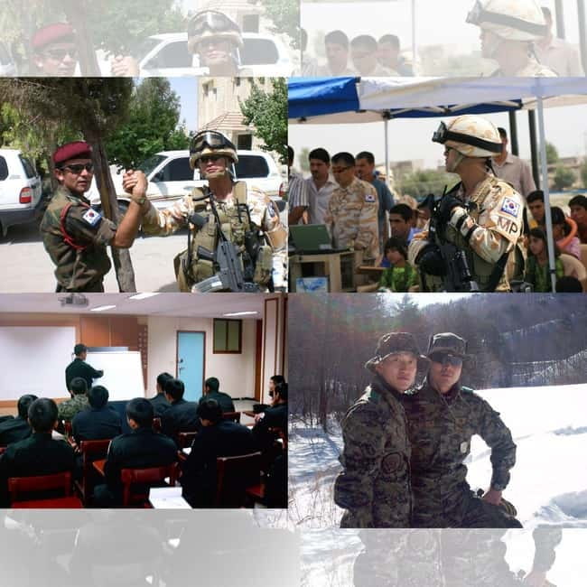 Seoul: Half-Day DMZ Tour Led by a Retired Military Officer - Choosing between Odusan and Dora Observatory