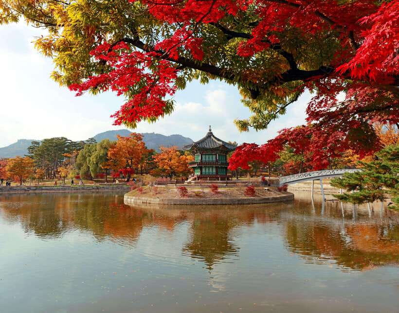 Seoul Highlights: Gyeongbok Palace, Insadong & N Seoul Tower - Jogyesa Temple starts the day quietly