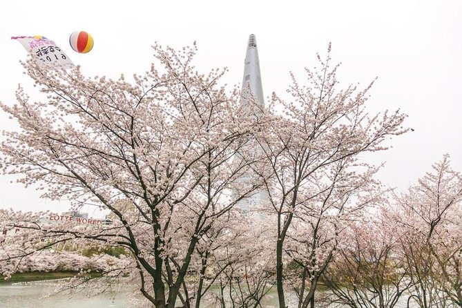 Seoul Highlights & Hidden Gems – Private Tour with Photo Service - What this private Seoul day is really designed to do