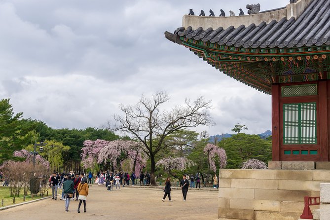 Seoul Highlights & Hidden Gems – Private Tour with Photo Service - Insadong for traditional goods and side streets