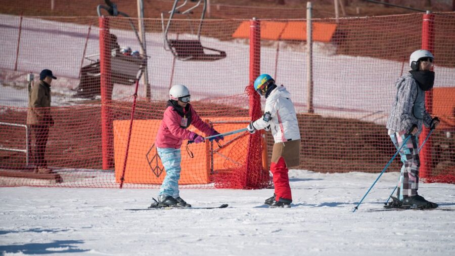 Seoul: Jisan Forest Winter Ski Day Tour with Basic Lesson - Key points to know before you book