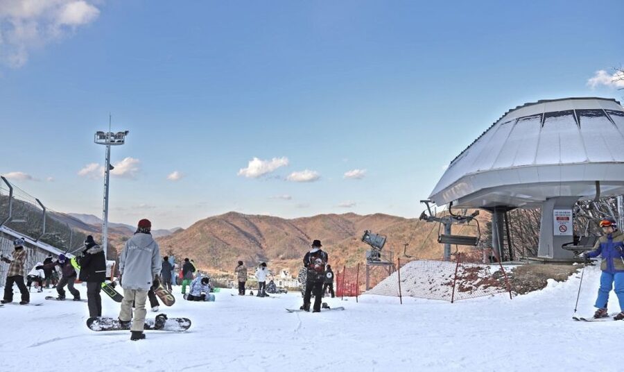 Seoul: Jisan Forest Winter Ski Day Tour with Basic Lesson - Who will enjoy this most
