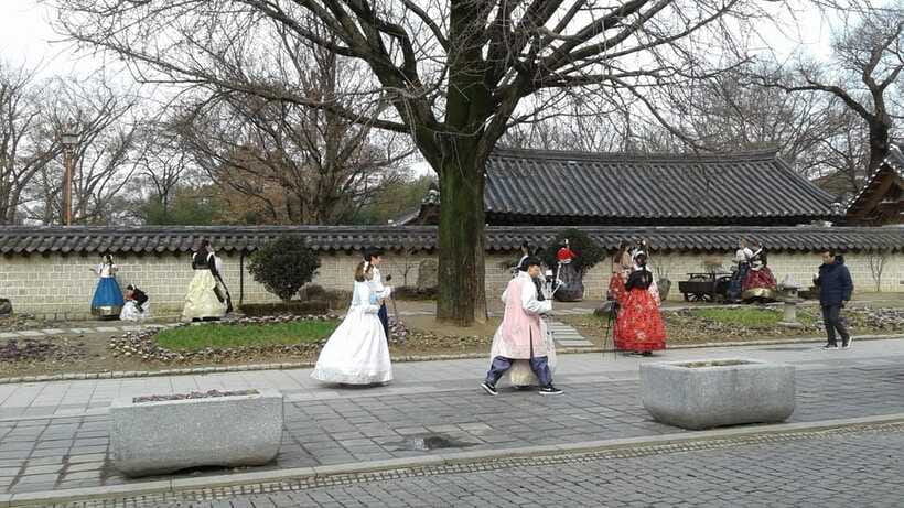 Seoul: Maisan Cherry Blossom and Jeonju Hanok Day Tour - Walking, comfort, and what to pack