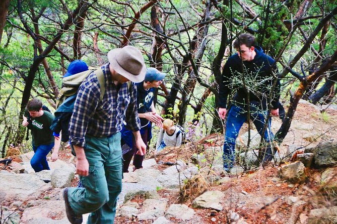 Seoul Mountain Hike: Temples, Folklore & Traditional Meal - Who should choose this Bukhan Mountain outing