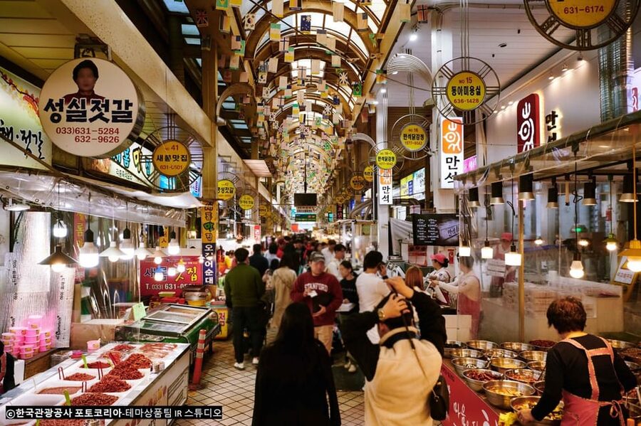 Seoul: Mt.Seorak(+CableCar Option)+Sokcho Fish Market&Beach - Price, weather, and overall value