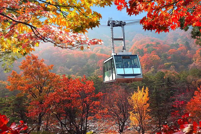 Seoul: Mt.Seorak(+CableCar Option)+Sokcho Fish Market&Beach - The practical reality of the long van journey