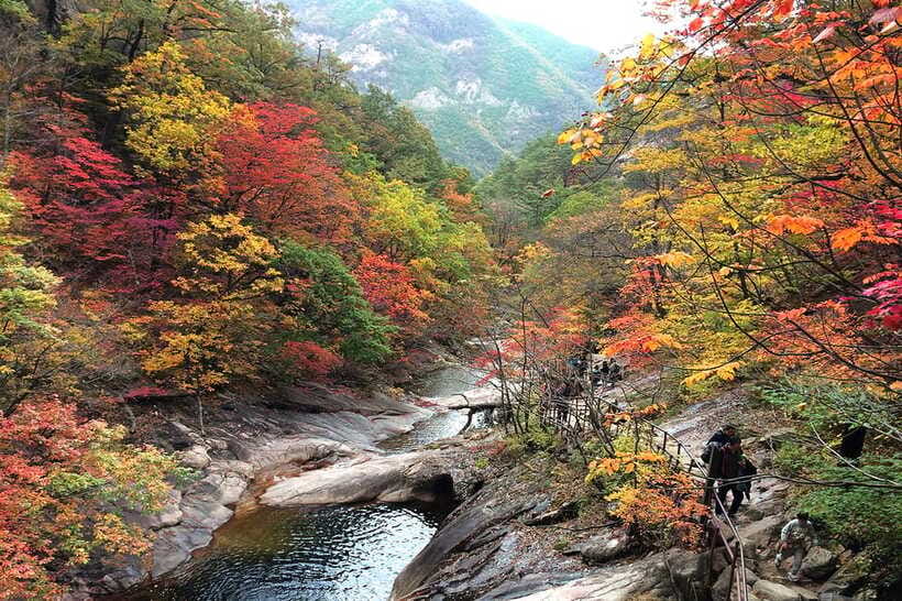 Seoul: Mt.Seorak(+CableCar Option)+Sokcho Fish Market&Beach - Eating your way through Sokcho Tourist Fishery Market