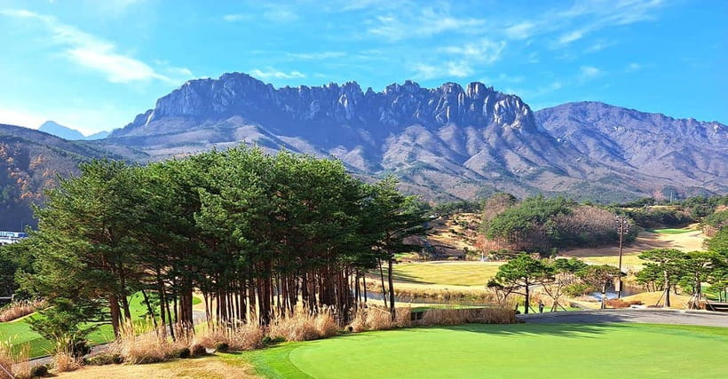 Seoul: Mt.Seorak(+CableCar Option)+Sokcho Fish Market&Beach - Who will get the most from this tour
