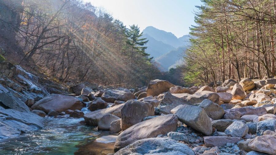 Seoul: Mt Seorak + Naksansa Temple or Nami Island Group Tour - Choosing Naksansa Temple and the East Coast