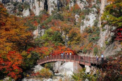 Mt Seorak + Naksansa Temple or Nami Island Group Tour