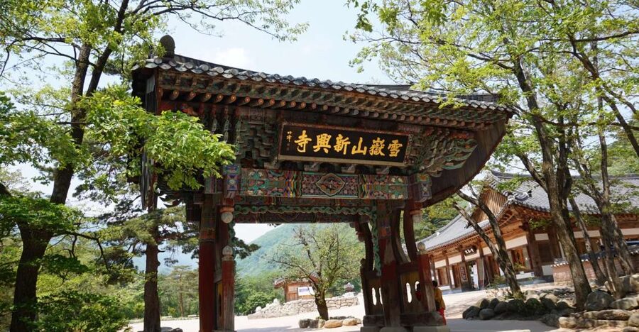 Seoul: Mt Seorak + Naksansa Temple or Nami Island Group Tour - Choosing Nami Island instead