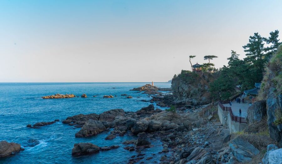 Seoul: Mt Seorak + Naksansa Temple or Nami Island Group Tour - Food, extra costs, and the $68 value