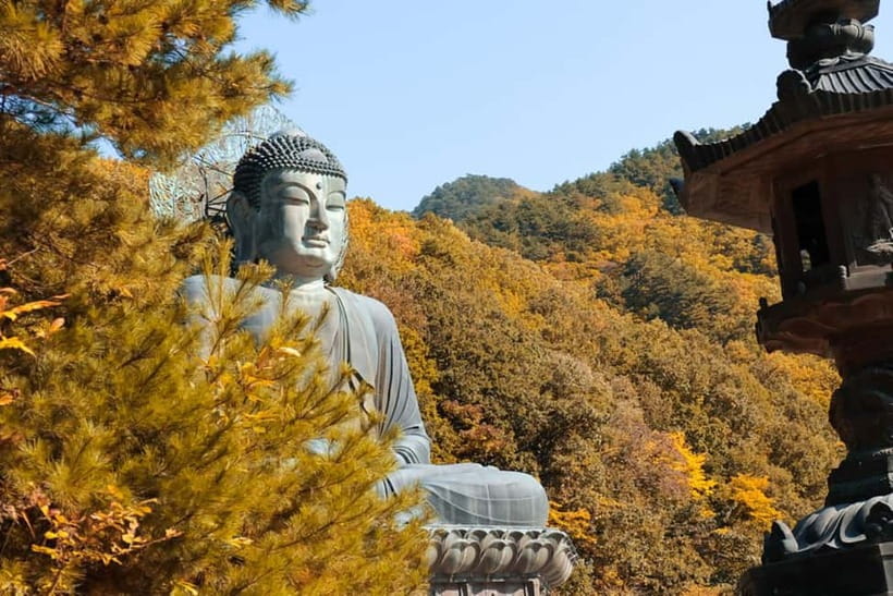 Seoul: Mt. Seoraksan National Park Autumn Foliage Day Tour - Key points to know before booking