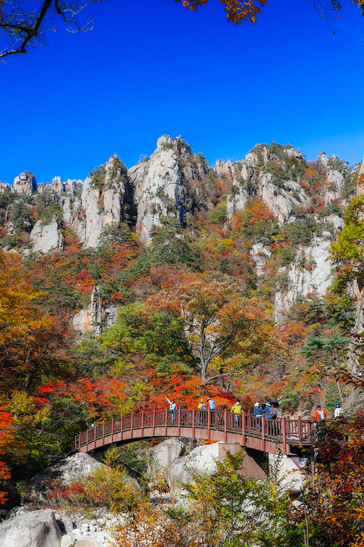 Seoul: Mt. Seoraksan National Park Autumn Foliage Day Tour - Why Seoraksan makes a strong autumn day trip