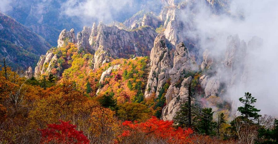 Seoul: Mt. Seoraksan National Park Autumn Foliage Day Tour - Arriving among the autumn trees