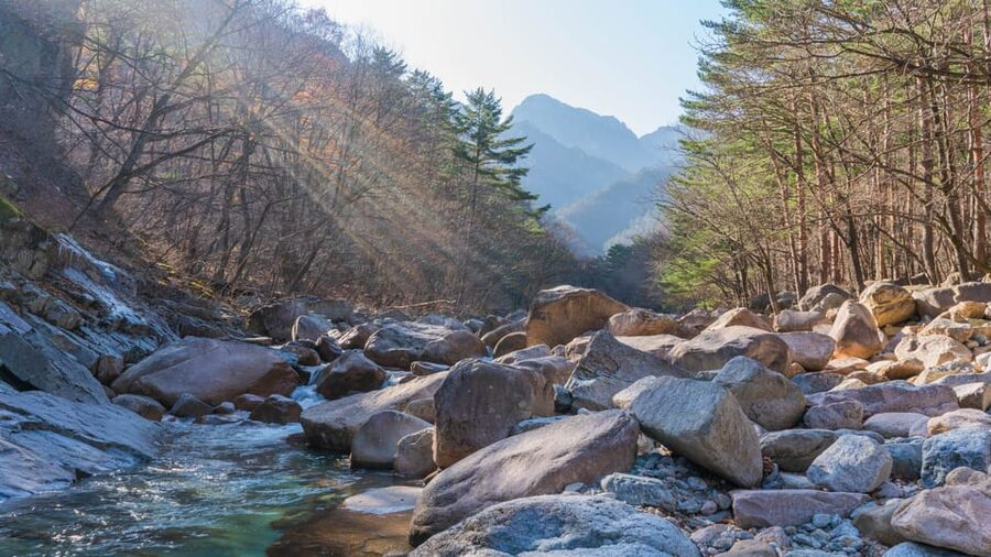 Seoul: Mt. Seoraksan National Park Autumn Foliage Day Tour - Choosing between an easy walk and Ulsanbawi