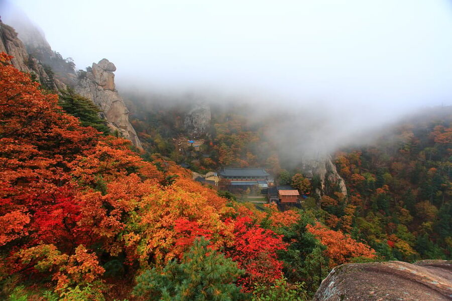 Seoul: Mt. Seoraksan National Park Autumn Foliage Day Tour - Is $60 good value?