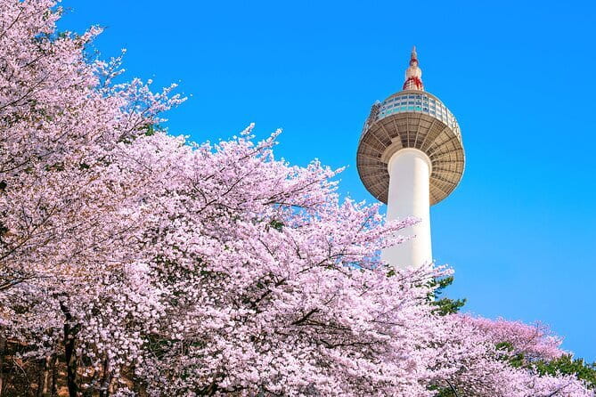 Seoul: N Tower Observatory Ticket - The Most Important Ticket Redemption Tip
