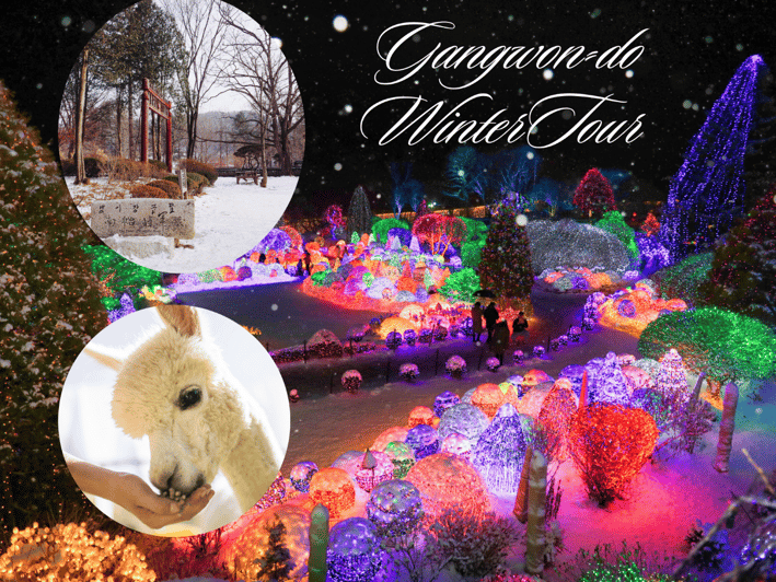 Seoul: Nami and K-Garden with Optional Alpaca Winter Tour - Why this winter day trip works