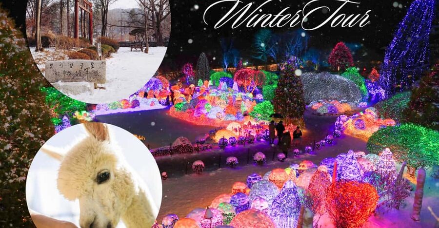 Seoul: Nami and K-Garden with Optional Alpaca Winter Tour - Eobi Valley and its winter ice wall