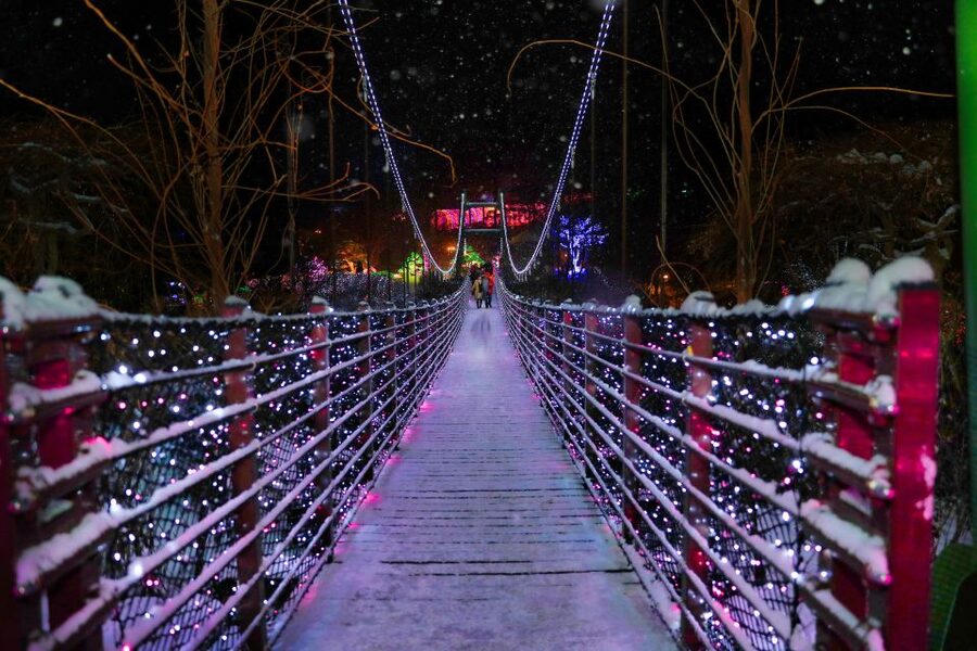 Seoul: Nami and Petite France Tour with Optional K-Garden - Who should book this tour