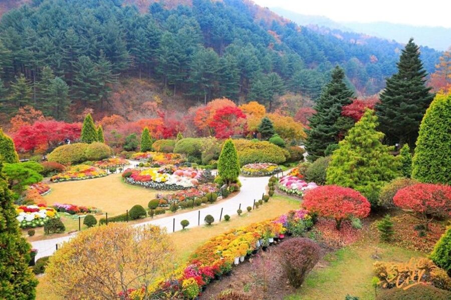 Seoul: Nami and Petite France Tour with Optional K-Garden - Why this day beyond Seoul works