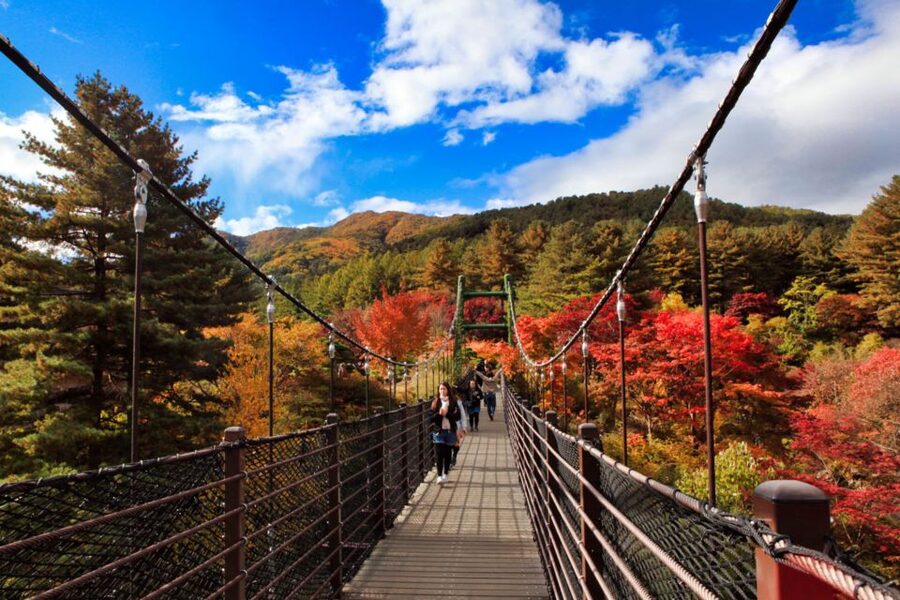 Seoul: Nami and Petite France Tour with Optional K-Garden - Guides, language, and group style