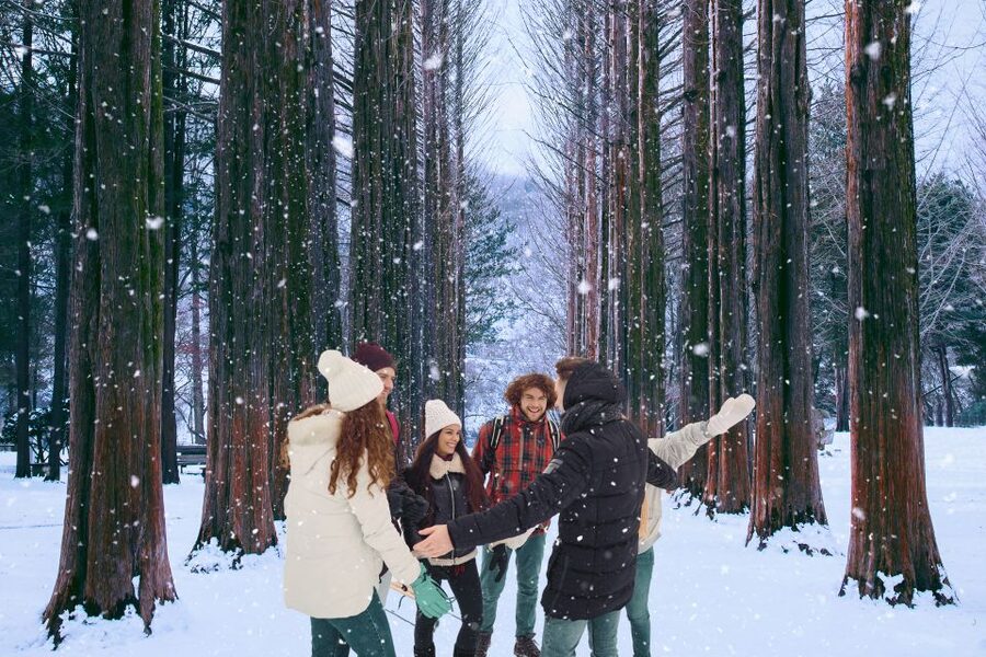 Seoul: Nami and Petite France Tour with Optional K-Garden - Lunch is not part of the $50 price