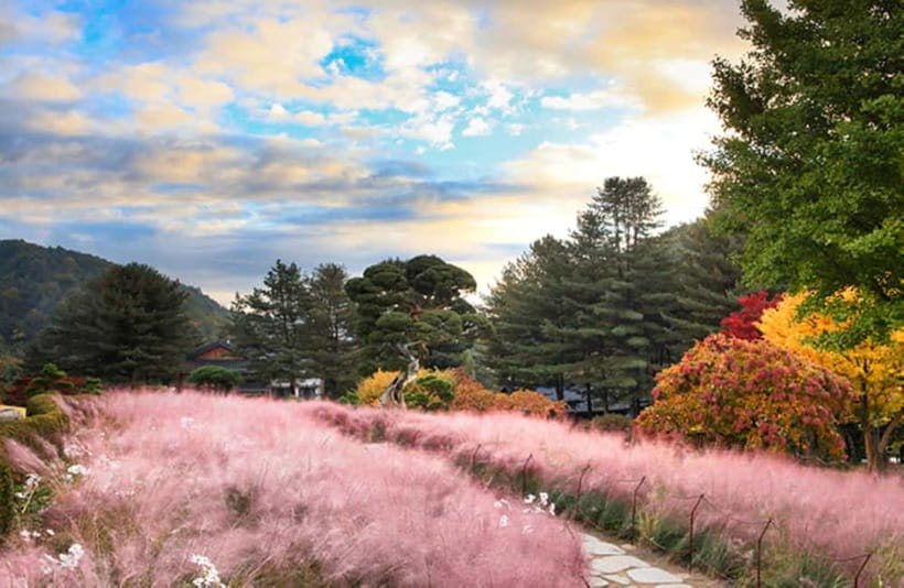 Seoul: Nami Island and Garden of Morning Calm opt Railbike - What the Gangchon Railbike adds