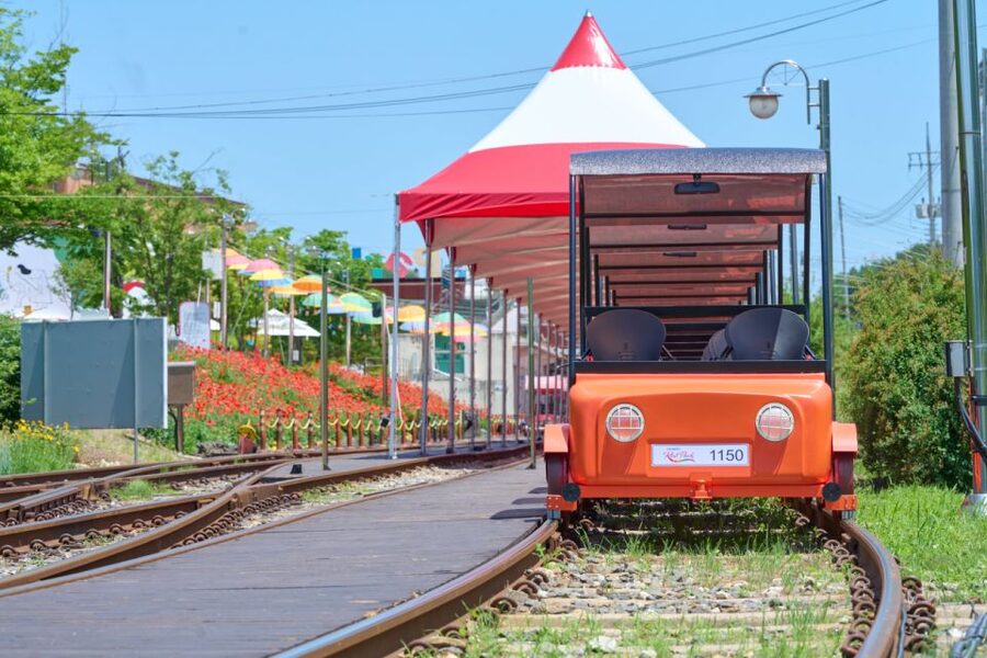 Seoul: Nami Island and Garden of Morning Calm opt Railbike - Food, weather, and what to bring