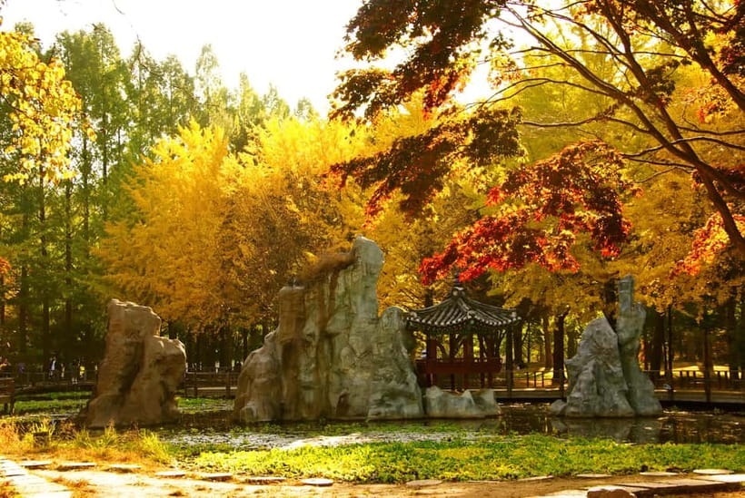 Seoul: Nami Island, Garden and Petite France (opt. Railbike) - Is $83 a fair price?