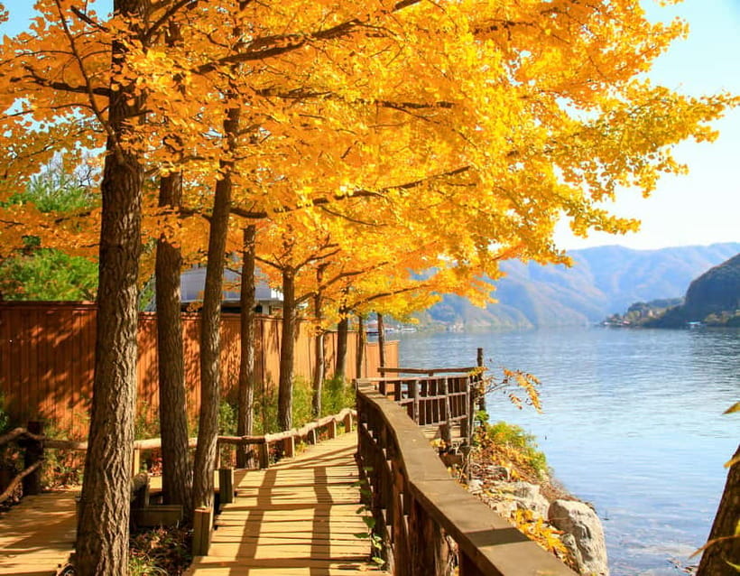 Seoul: Nami Island, Garden and Petite France (opt. Railbike) - How to prepare for weather, food, and walking