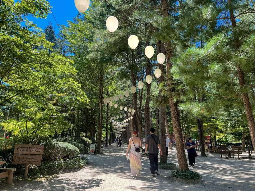Seoul: Nami Island & Petite France Tour with Railbike Option - Pinocchio and Da Vinci Village