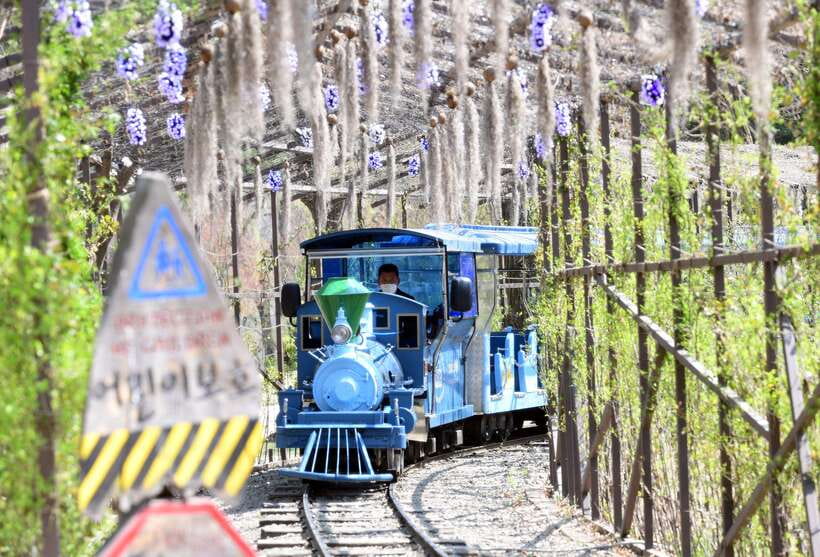 Seoul: Nami Island & Petite France Tour with Railbike Option - Timing, traffic, and the trade-offs