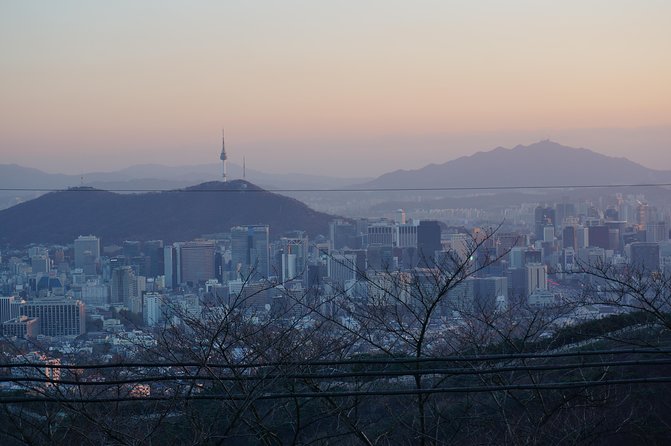Seoul Night "Private Tour"(Korean BBQ, N-Tower, Seoul Fortress, Local Market) - Why Seoul looks better after dark