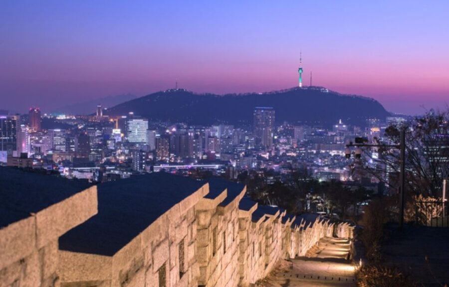 Seoul: Nighttime Tour of Palace, Market, Naksan Park & More - Gwangjang Market for food and small finds