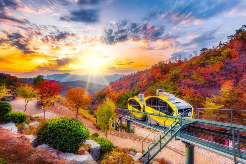 Seoul: Pocheon Art Valley, Garden and Fruit Picking Day Tour - The day in four memorable details