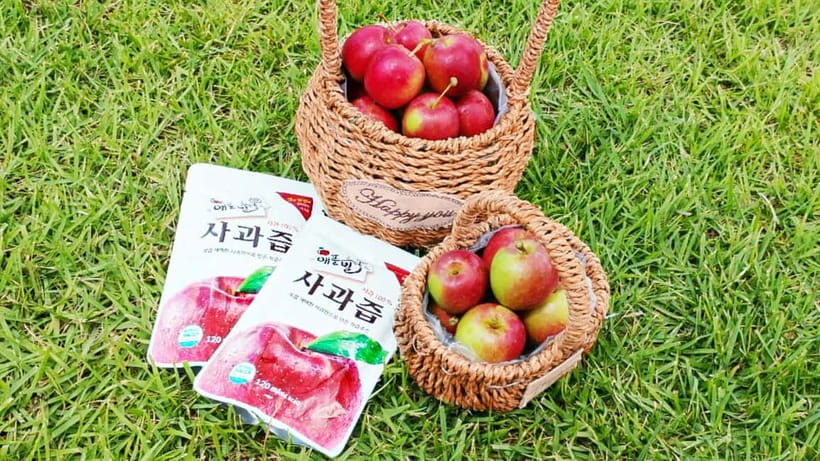 Seoul: Pocheon Art Valley, Garden and Fruit Picking Day Tour - The Garden of Morning Calm: Korea’s polished garden escape