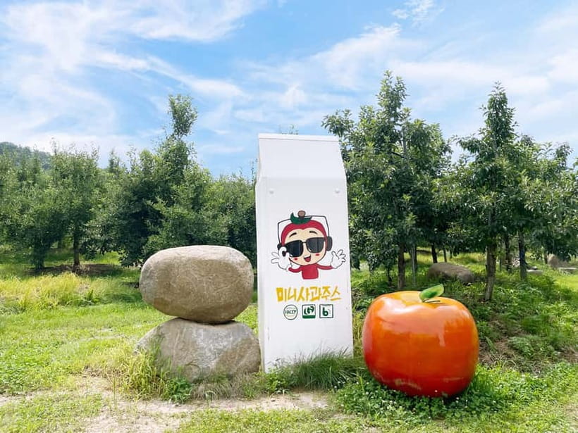 Seoul: Pocheon Art Valley, Garden and Fruit Picking Day Tour - Pocheon Art Valley and its blue quarry lake