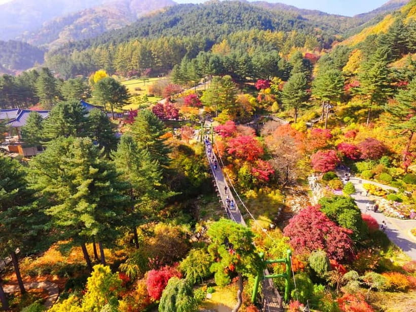 Seoul: Pocheon Art Valley, Garden and Fruit Picking Day Tour - Booking details worth knowing