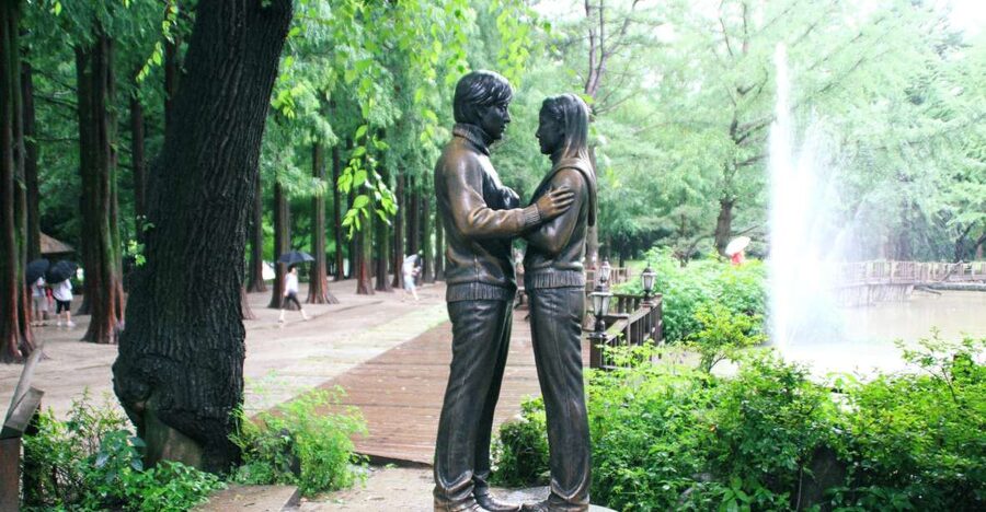 Seoul: Private Customizable Tour to Nami Island and More - Who should book this experience