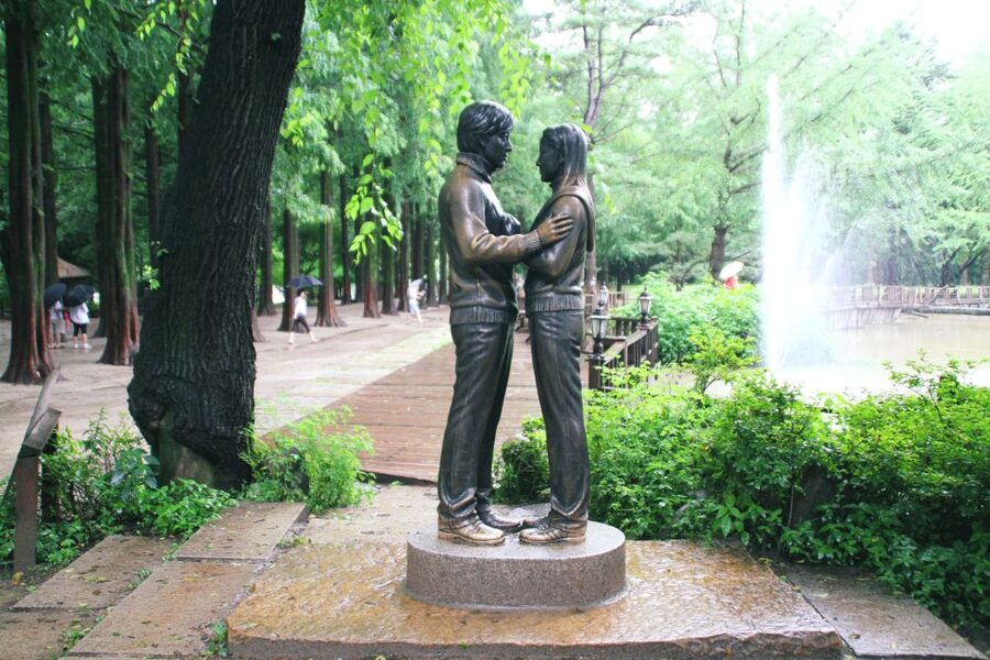 Seoul: Private Customizable Tour to Nami Island and More - Why this private day trip works from Seoul