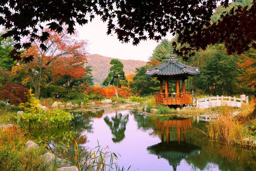 Seoul: Private Customizable Tour to Nami Island and More - Timing, traffic, and the eight-hour versus nine-hour question