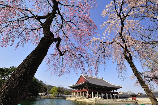 Seoul Private Tour Gyeongbok Palace Bukchon and Gwangjang Market - Why this private Seoul route works