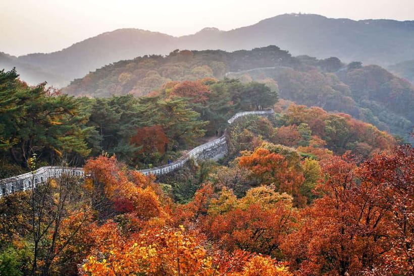 Seoul: Royal Tomb of King Sejong & Icheon Ceramic (EG Tour) - Why King Sejong makes this more than a sightseeing outing