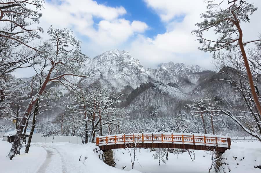 Seoul: Seorak Mountain+Nami Island+Eobi Ice Valley Tour - Why this winter day trip works