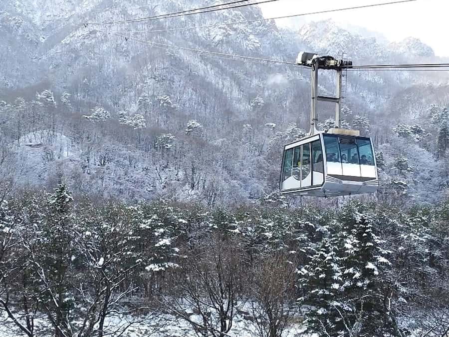 Seoul: Seorak Mountain+Nami Island+Eobi Ice Valley Tour - Nami Island adds the romantic pause