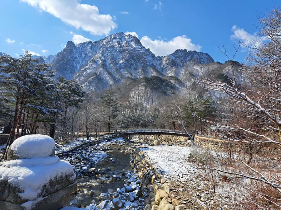Seoul: Seorak Mountain+Nami Island+Eobi Ice Valley Tour - What the $79 price really includes